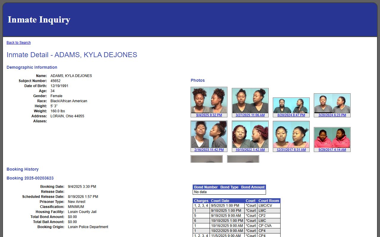 Lorain County inmate records sample Tyler inmate profile